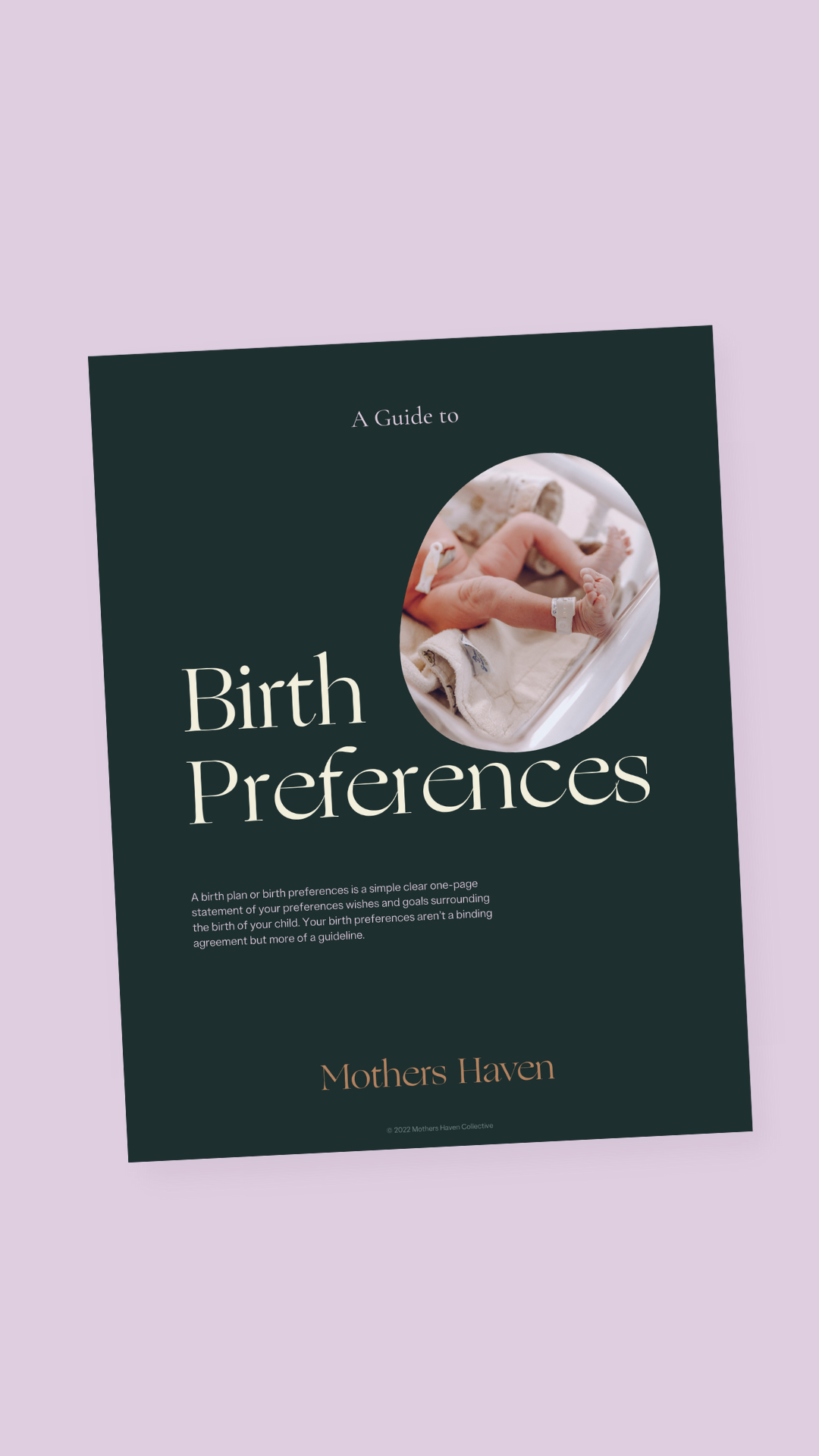 Birth Preferences E-Guide